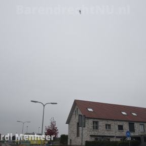 DSC_2194.jpg