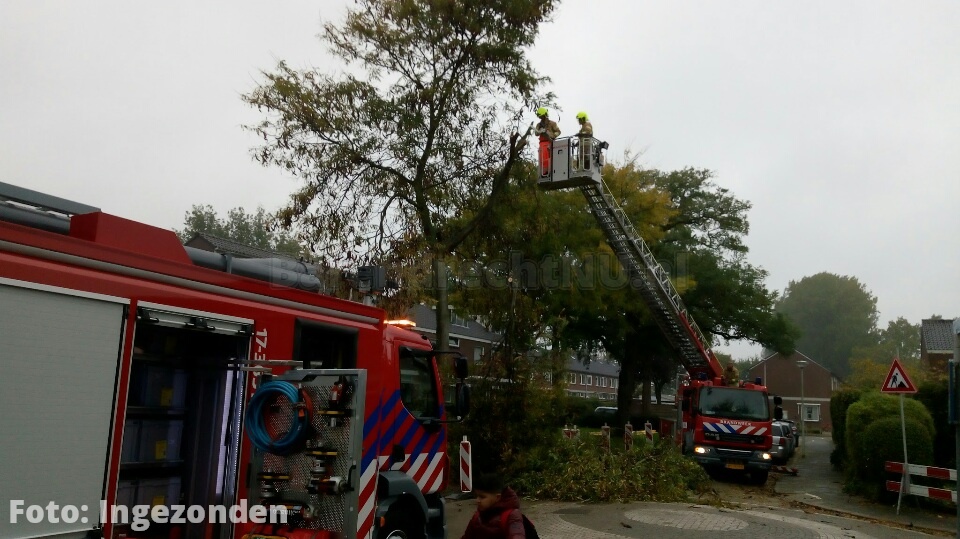 De brandweer is opnieuw in actie gekomen aan de Boomgaard ivm een stormschade aan een boom