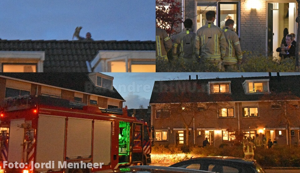 Kat vast op dak Cornelis de Mooystraat: Autoladder vd brandweer was onderweg, maar kat kon vlak daarvoor al van dak word
