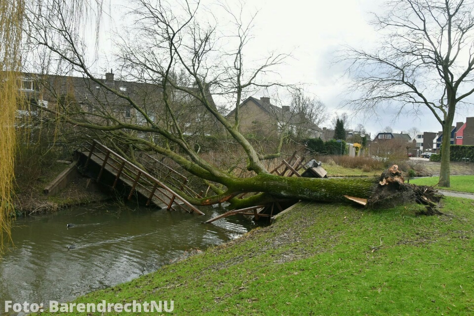 Bruggetje tussen Tjalk en Schoener doormidden gebroken door omgewaaide boom