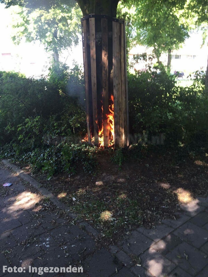 Opnieuw een boom in brand gestoken bij sporthal Vitaal aan de Kruidentuin