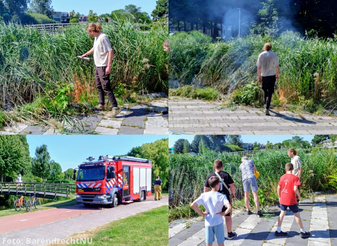 Live: Rietkraag in brand in Park Nieuweland, brandweer ontving meerdere meldingen