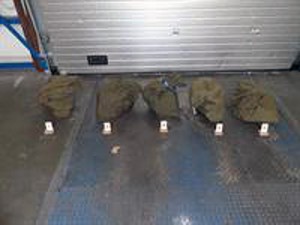 50 kilo cocaïne in container met ananas bij bedrijf in Barendrecht