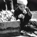 Video 1939: Groenteteelt in Barendrecht