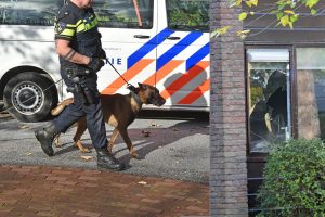 Ruit vernield bij poging woninginbraak Willem-Alexanderplantsoen: Dader vlucht via sloot