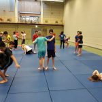 Leerlingen van De Draaimolen krijgen judoles