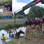 Paard met brandweerkraan uit sloot van Kooiwalbos gered