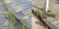 Meer geld en aandacht naar groenonderhoud en onkruidbestrijding in Barendrecht
