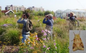 1000-Soortendag in Barendrecht: Feest van de biodiversiteit