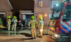 Politie zoekt getuigen van brandstichting auto aan de Hertenburg: "Auto weggereden met meerdere personen"