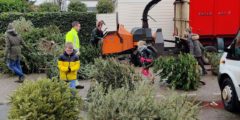 Hard werken bij kerstboominzameling in Barendrecht: 50 eurocent per kerstboom