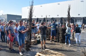 Duizenden gratis perenbomen uitgedeeld bij Loods38: Alle bomen weg op de eerste dag