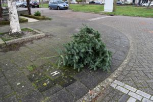 Geen kerstboominzameling: Kerstboom begin januari gewoon langs de weg zetten
