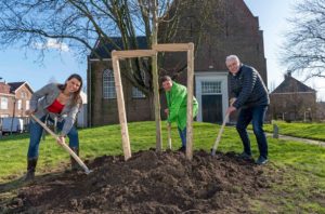 Gemeente plant 100 bomen en maakt direct excuus voor eerste boom op voormalige begraafplaats Dorpskerk