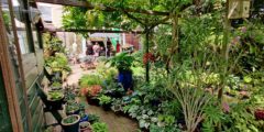 Zaterdag 24 juni: Open Tuinen dag Barendrecht