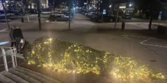 Grote kerstboom op gemeentehuisplein omver gehaald: "Lijkt opzet in het spel te zijn"
