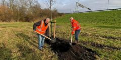 Start van vergroeningsproject langs A29 in Barendrecht: Groot aantal nieuwe bomen en struiken