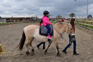 18 april: Paarden familiedag bij De Kleine Duiker in Barendrecht