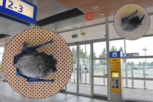 Vleermuizen boven je hoofd bij ingang station Barendrecht