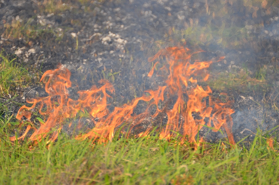 Grasbrandje Langs De A29 Aan De Middeldijk BarendrechtNU Nl