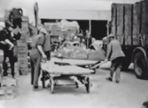 Video 1939: De tuinbouwveiling van Barendrecht en Omstreken