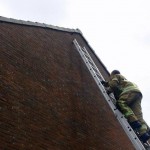 Brandweer helpt vogeltje tussen dakpannen vandaan aan de Paddeweg in Barendrecht