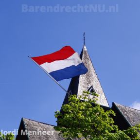IMG_20250426_142126.jpg