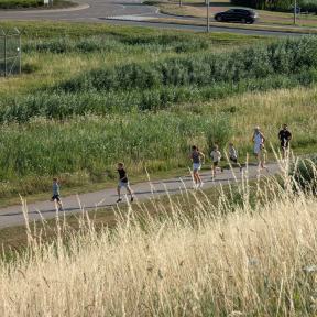BarendrechtNU live fotostream