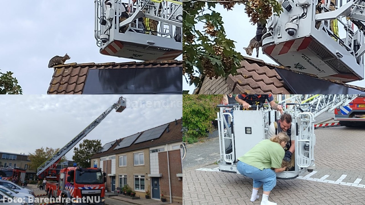FOTO: Brandweer helpt kat van het dak aan de Mahlerstraat