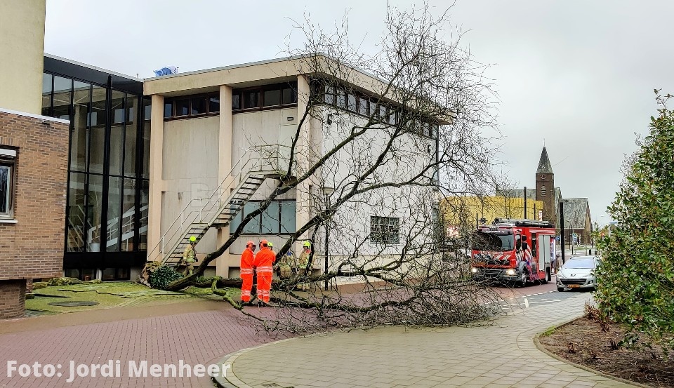 Rijnstraat: Flinke boom naast het gemeentehuis omgewaaid, de boom wordt in stukjes gezaagd