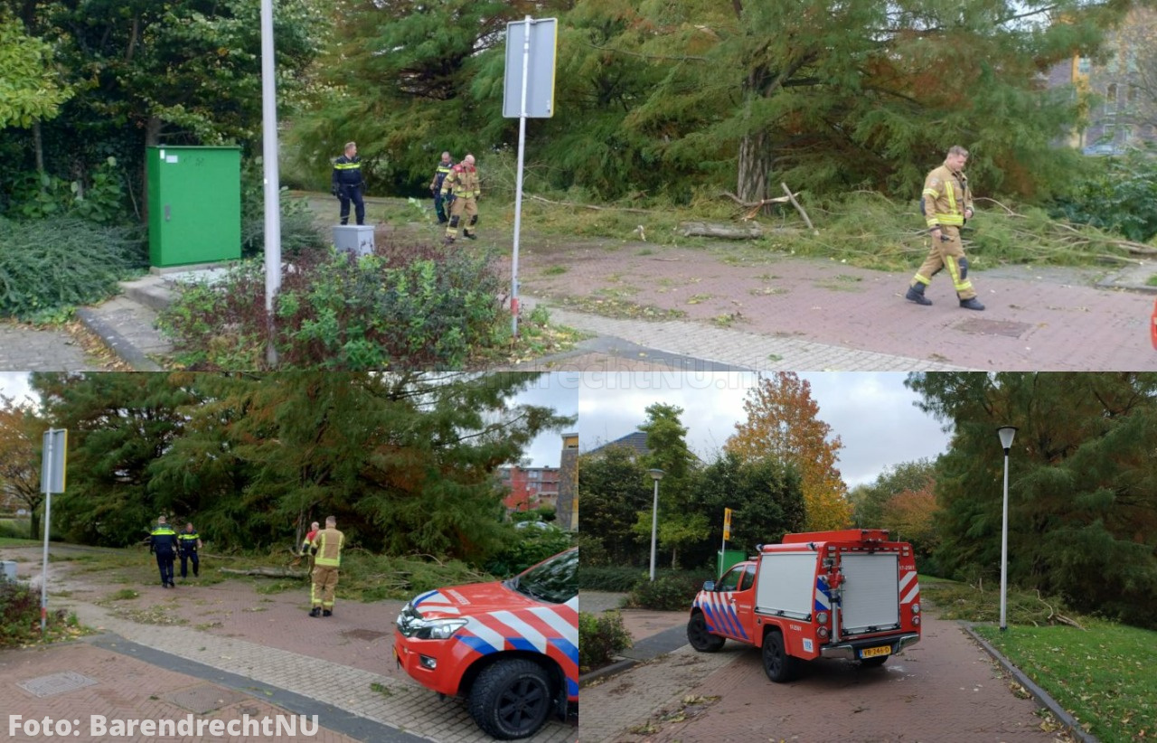 Boom omgewaaid over de Noordersingel, politie en brandweer opgeroepen
