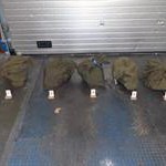 50 kilo cocaïne in container met ananas bij bedrijf in Barendrecht
