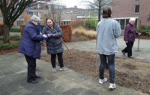 Vrijwilligers poten 1.000 tulpenbollen in binnentuin ouderencomplex Windsingel