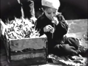 Video 1939: Groenteteelt in Barendrecht