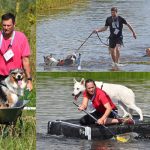 Dogsurvival 2017 in Barendrechtse Zuidpolder