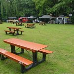Picknick in 't Park afgelast vanwege verwachte regen en onweer