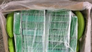 Container met ruim €200 miljoen aan cocaïne onderschept op weg naar Barendrecht