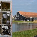 7 en 21 feb: Workshops insectenhotel en goudbloemenzalf maken