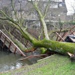 FOTO'S: Zware storm veroorzaakt grote en kleine schades in Barendrecht