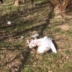 Politie zoekt eigenaar van hond die zwaan dood beet in Riederpark