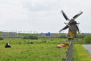 12 en 13 mei: Pendrechtse Molen geopend voor bezoek tijdens Nationale Molendagen