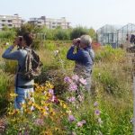 1000-Soortendag in Barendrecht: Feest van de biodiversiteit