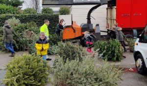 Hard werken bij kerstboominzameling in Barendrecht: 50 eurocent per kerstboom