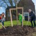 Gemeente plant 100 bomen en maakt direct excuus voor eerste boom op voormalige begraafplaats Dorpskerk