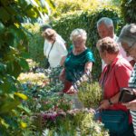 Eerste lustrum van Open Tuinen in Barendrecht op 25 juni