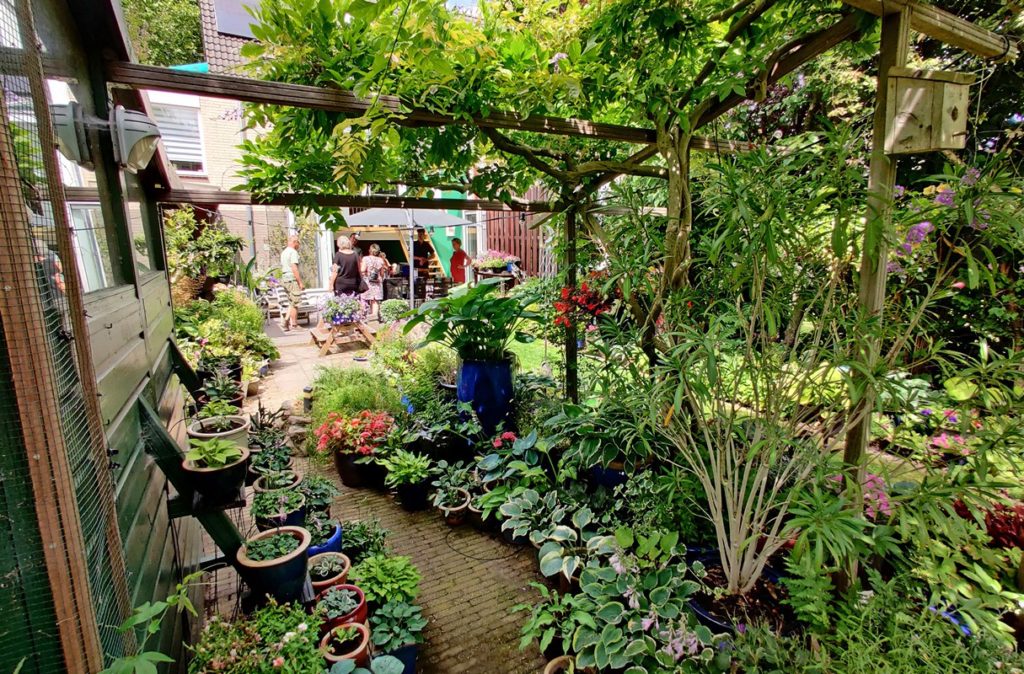 Zaterdag 28 juni: Open Tuinen Dag in Barendrecht