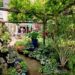 Zaterdag 24 juni: Open Tuinen dag Barendrecht