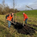 Start van vergroeningsproject langs A29 in Barendrecht: Groot aantal nieuwe bomen en struiken