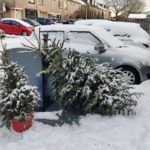 Kerstboominzameling dit jaar geannuleerd, extreem druk bij de buitendiensten