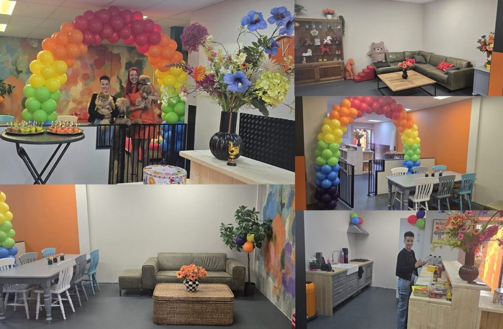 Nieuw aan de Gouwe: The Ginger Daycare, dagopvang voor honden